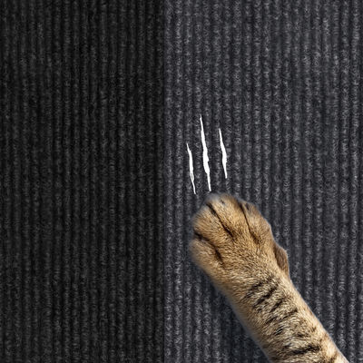 Не прилипатель Триммабле собственной личности циновки кота выскальзывания царапая для предохранения от ухода за больным